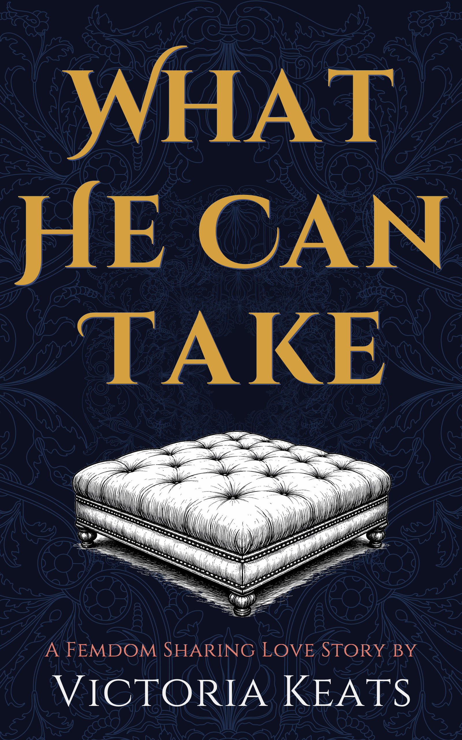 What He Can Take cover